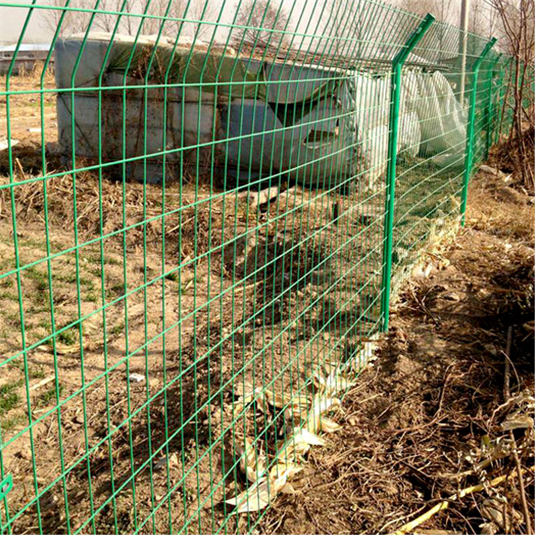 養(yǎng)殖防護(hù)網(wǎng)廠家直銷圖片1